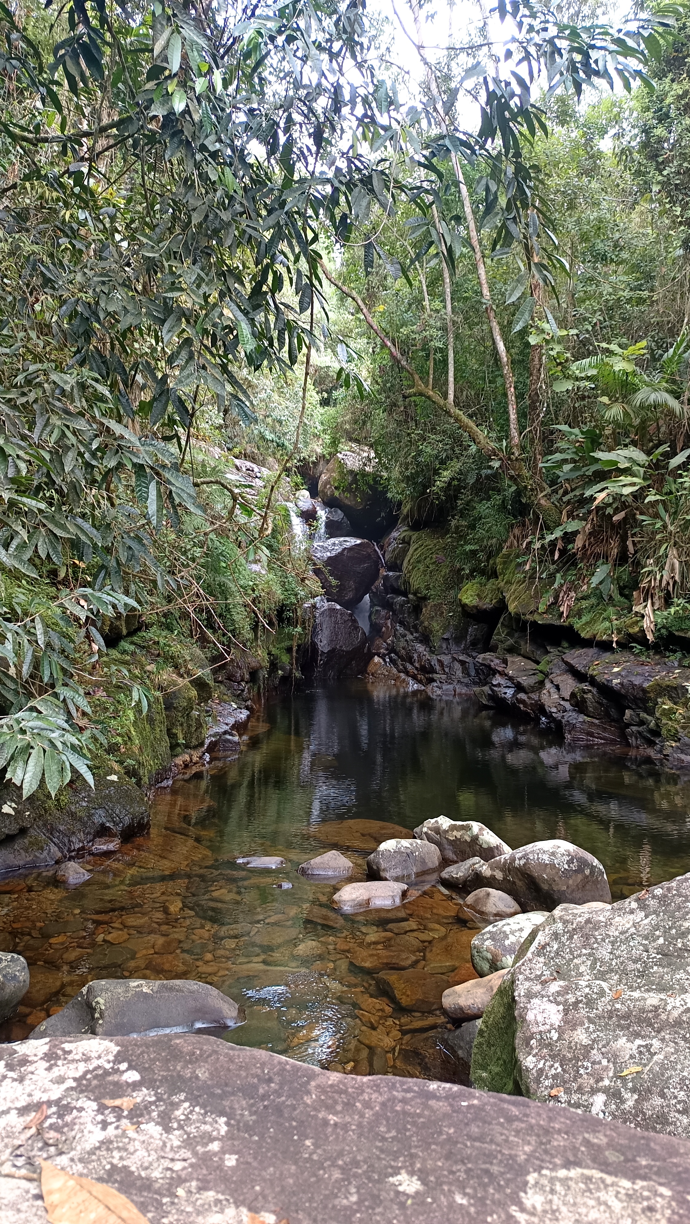 Tierra Mar